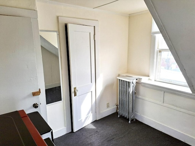 bonus room featuring radiator heating unit and dark colored carpet