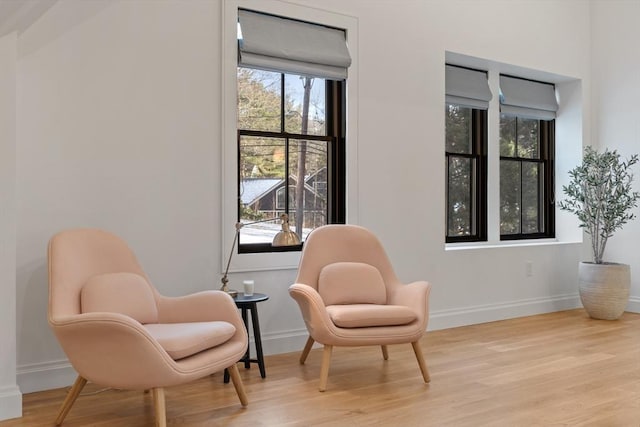 living area featuring light hardwood / wood-style flooring