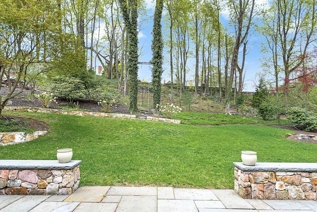 21 Fernway, Winchester, MA 01890 - view of green lawn