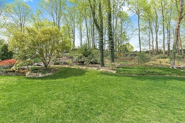 21 Fernway, Winchester, MA 01890 - view of green lawn