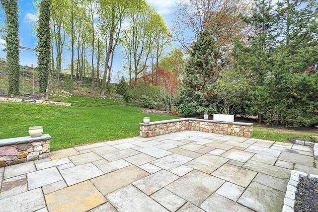21 Fernway, Winchester, MA 01890 - view of patio
