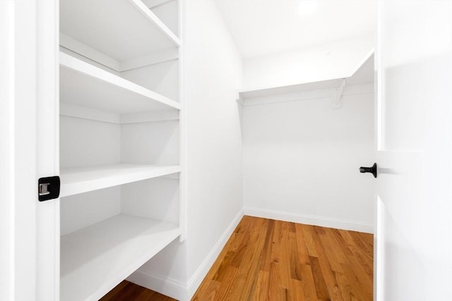 spacious closet featuring wood finished floors