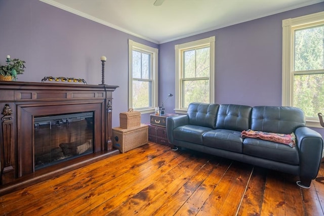 living area featuring a glass covered fireplace, a healthy amount of sunlight, and hardwood / wood-style flooring