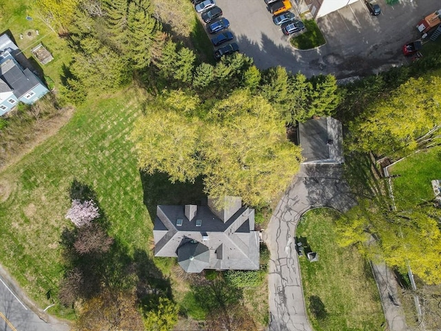 bird's eye view