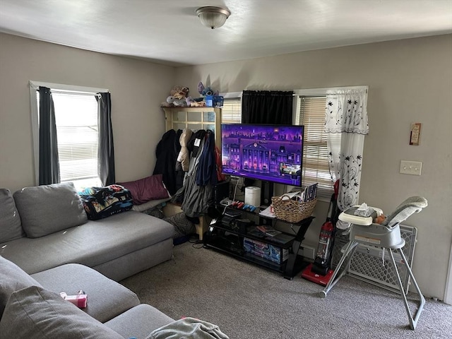 52 Burr St, Springfield, MA 01109 - living area with carpet floors