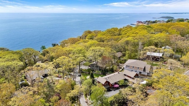 aerial overview of property's location with a nearby body of water