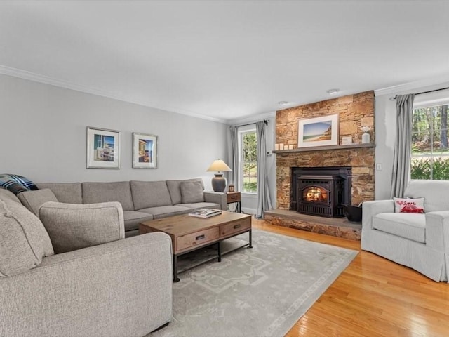 living room featuring wood finished floors, crown molding, and a fireplace