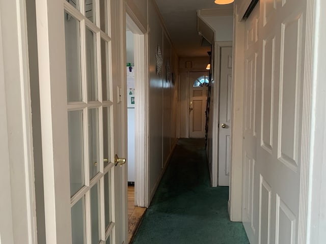 hallway featuring carpet