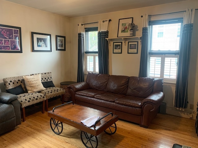 living room with light hardwood / wood-style floors and a wealth of natural light