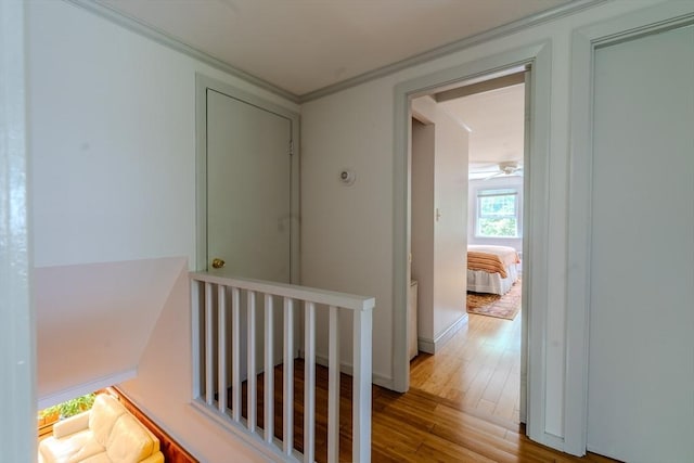 290 E St, Westwood, MA 02090 - corridor featuring an upstairs landing, wood finished floors, and crown molding