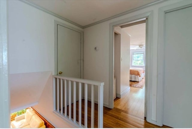 290 E St, Westwood, MA 02090 - hallway with an upstairs landing, wood finished floors, crown molding, and baseboards