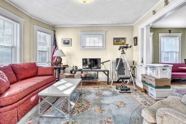 living room featuring decorative columns, wood-type flooring, and ornamental molding