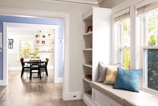 mudroom with baseboards, healthy amount of natural light, wood finished floors, and crown molding