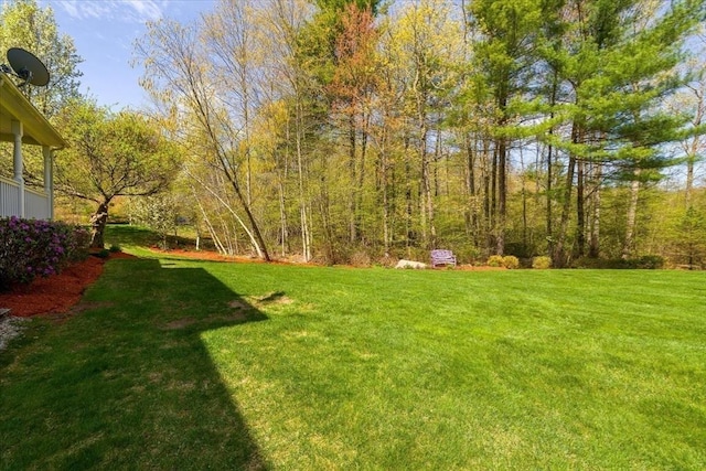 view of yard