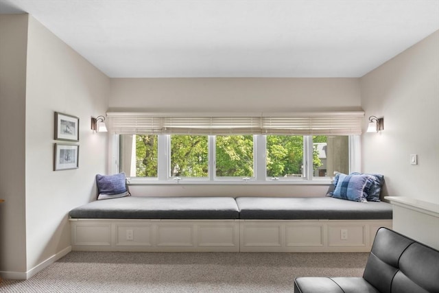 94 Mill Pond Unit 94, North Andover, MA 01845 - bedroom with light carpet and baseboards