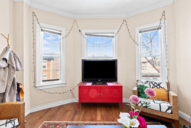 living area featuring wood finished floors, baseboards, and ornamental molding