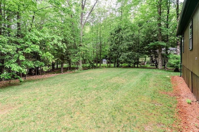 32 Birch Rd, Goshen, MA 01032 - view of grassy yard