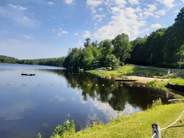 32 Birch Rd, Goshen, MA 01032 - water view with a heavily wooded area