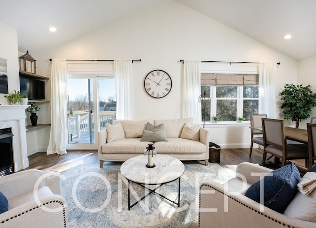 living room featuring hardwood / wood-style floors and high vaulted ceiling