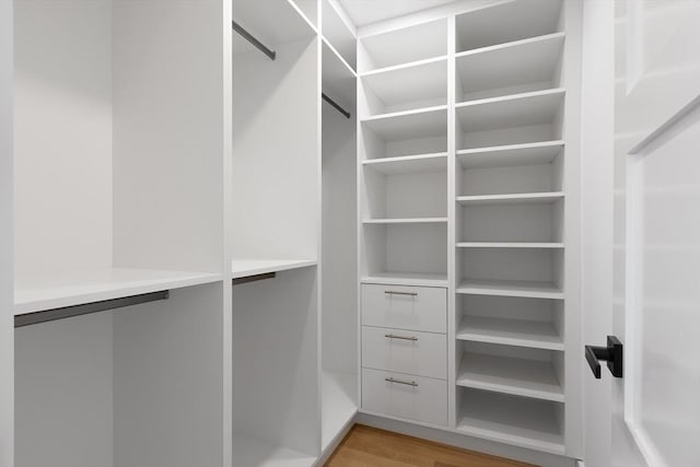 spacious closet featuring light hardwood / wood-style flooring