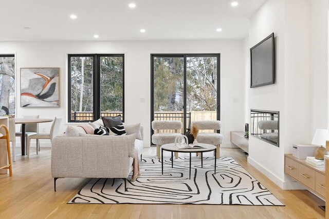 living room with light hardwood / wood-style flooring