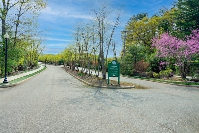view of road with street lighting, curbs, and sidewalks
