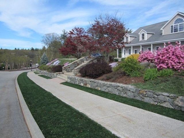 view of property's community