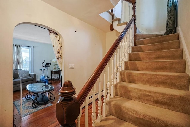 staircase featuring hardwood / wood-style floors and a baseboard radiator