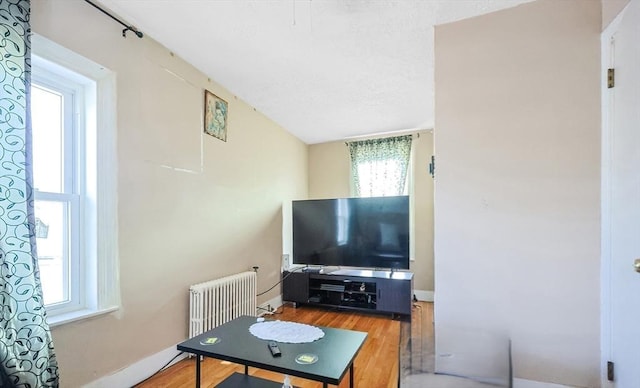 living room with wood-type flooring, radiator heating unit, and a wealth of natural light