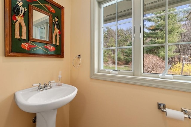 bathroom featuring a sink