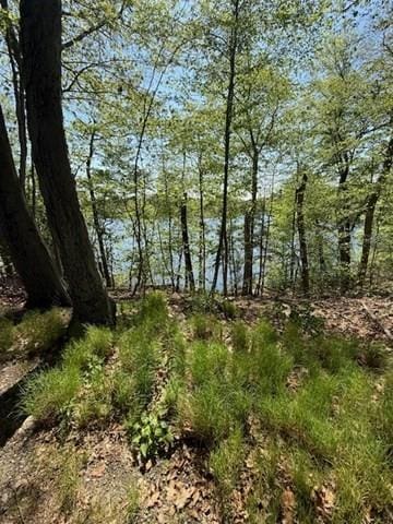 108 Dudley Rd, Wayland, MA 01778
