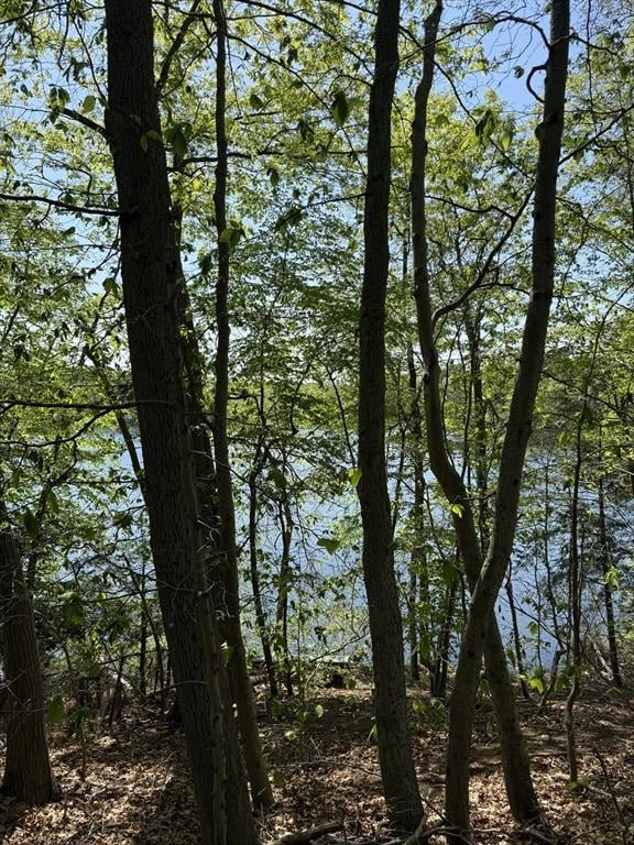 108 Dudley Rd, Wayland, MA 01778