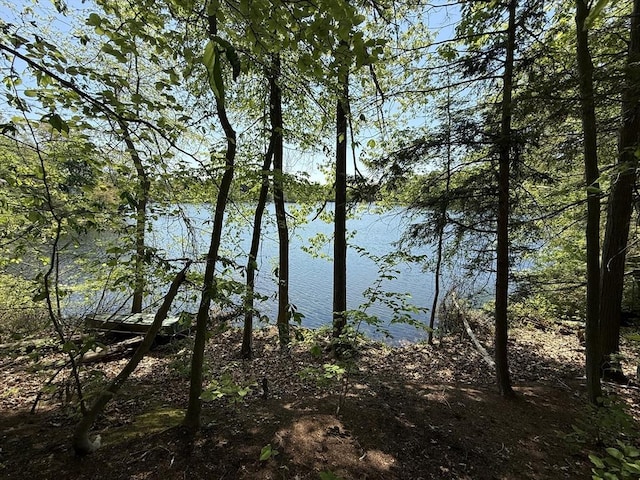 108 Dudley Rd, Wayland, MA 01778