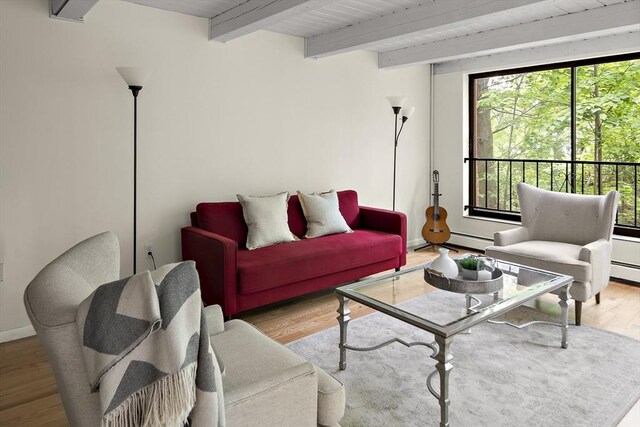 993 Massachusetts Ave Unit 127, Arlington, MA 02476 - living room with healthy amount of natural light, wood finished floors, baseboards, a baseboard radiator, and wood ceiling with exposed beams