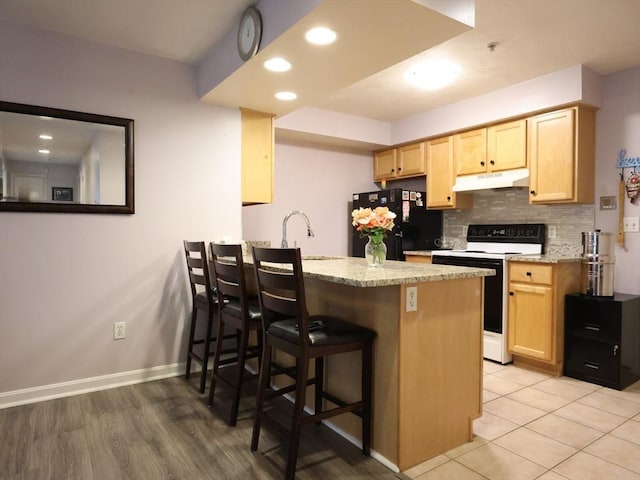 234 Water St Unit 101, Wakefield, MA 01880 - kitchen featuring electric stove, freestanding refrigerator, under cabinet range hood, tasteful backsplash, and light brown cabinets