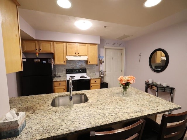 234 Water St Unit 101, Wakefield, MA 01880 - kitchen featuring electric range, freestanding refrigerator, under cabinet range hood, a breakfast bar, and light brown cabinetry