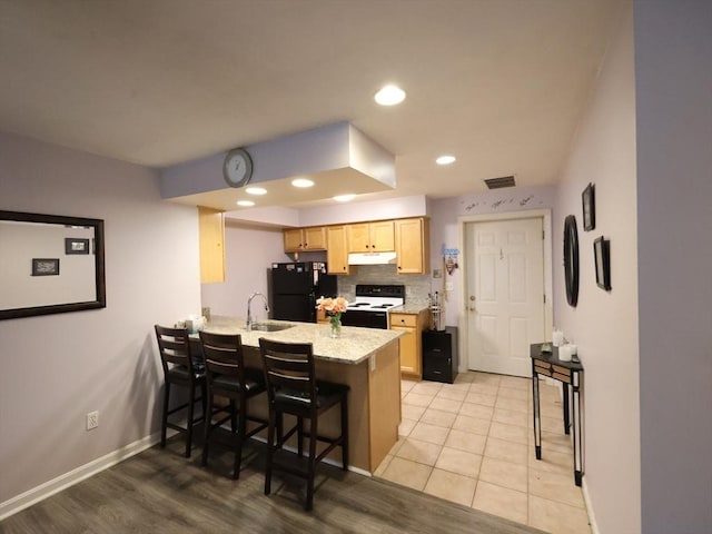 234 Water St Unit 101, Wakefield, MA 01880 - kitchen featuring electric range, under cabinet range hood, light brown cabinetry, a peninsula, and freestanding refrigerator