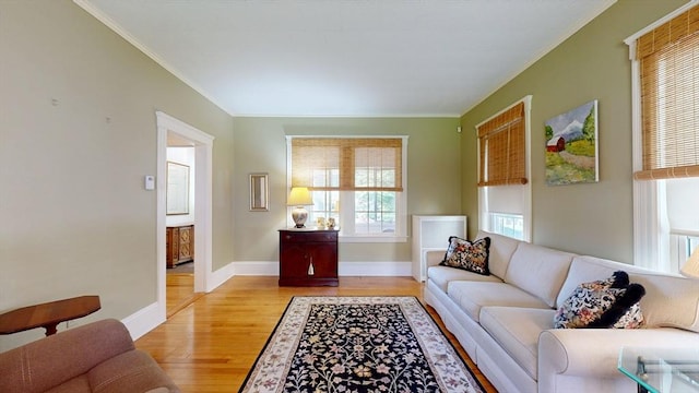 30 Hartshorn Ave, Worcester, MA 01602 - living room with ornamental molding, light wood finished floors, and baseboards