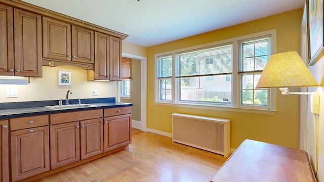 30 Hartshorn Ave, Worcester, MA 01602 - kitchen featuring radiator, a sink, brown cabinets, light wood-type flooring, and dark countertops