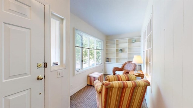 30 Hartshorn Ave, Worcester, MA 01602 - sitting room with radiator heating unit, baseboards, and built in shelves