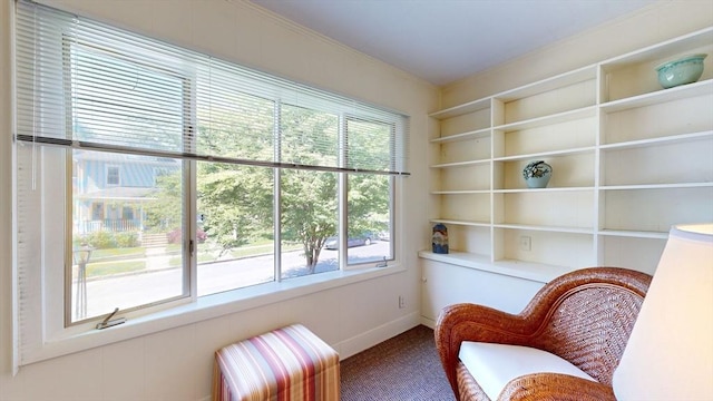 30 Hartshorn Ave, Worcester, MA 01602 - unfurnished room with carpet flooring, built in features, ornamental molding, and baseboards