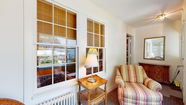 30 Hartshorn Ave, Worcester, MA 01602 - living area with radiator, carpet, and baseboards