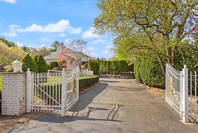 view of gate with fence