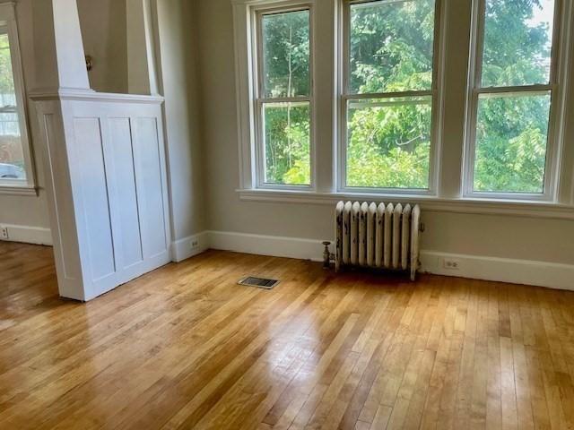 interior space featuring radiator, light hardwood / wood-style floors, and a healthy amount of sunlight