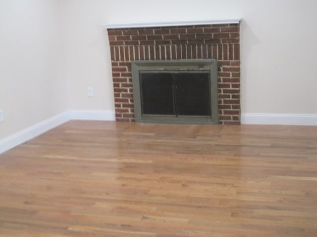 details featuring wood-type flooring and a fireplace