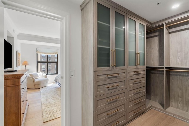 300 Boylston St Unit 907, Boston, MA 02116 - spacious closet featuring light wood finished floors