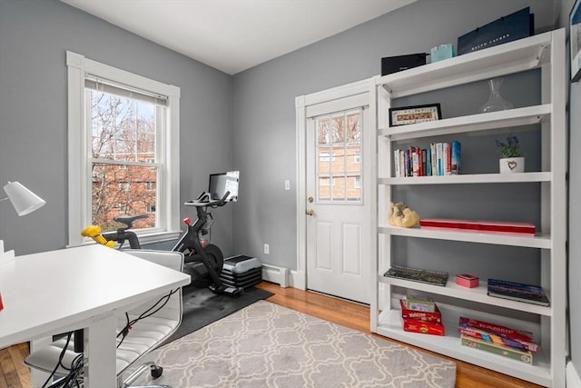 office featuring wood finished floors