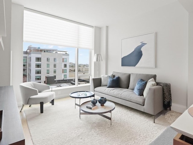 380 Harrison Ave Unit Ph1K, Boston, MA 02118 - living area featuring baseboards