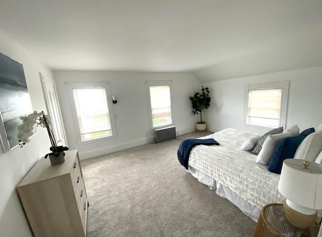 101 Adams St, Newton, MA 02458 - bedroom with radiator, carpet flooring, and lofted ceiling