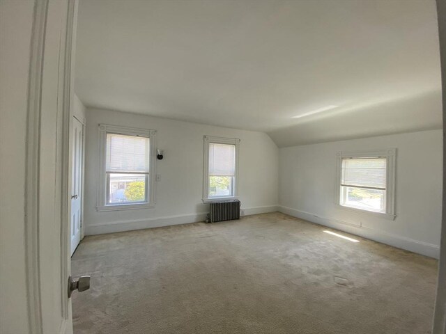 spare room featuring lofted ceiling, a healthy amount of sunlight, and light carpet